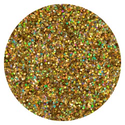 Glitters Hologram Sunshine State